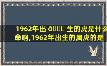 1962年出 🐝 生的虎是什么命啊,1962年出生的属虎的是什么命